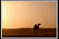 Oman (30).jpg